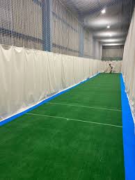 Lane Cricket